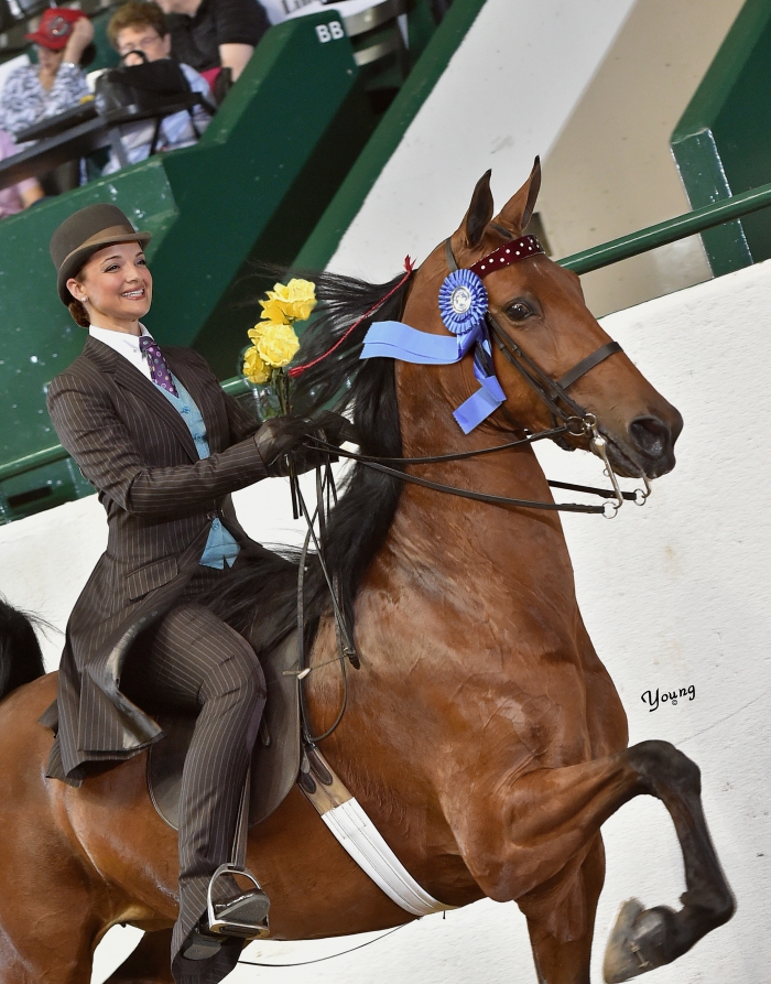 04M_2561 lores Tanbark Cavalcade of Roses Horse Show June 28 July