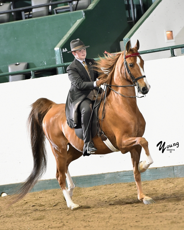16I_1193 Tanbark Cavalcade of Roses Horse Show June 28 July 1, 2023