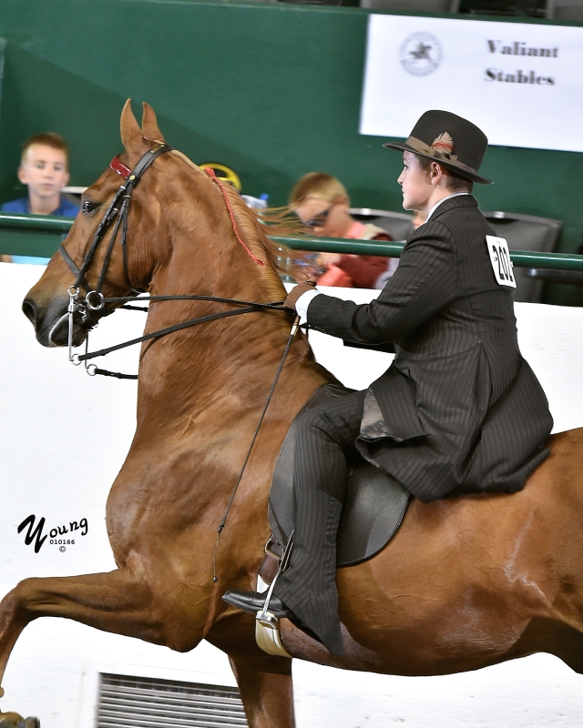 16I_2708 Tanbark Cavalcade of Roses Horse Show June 28 July 1, 2023