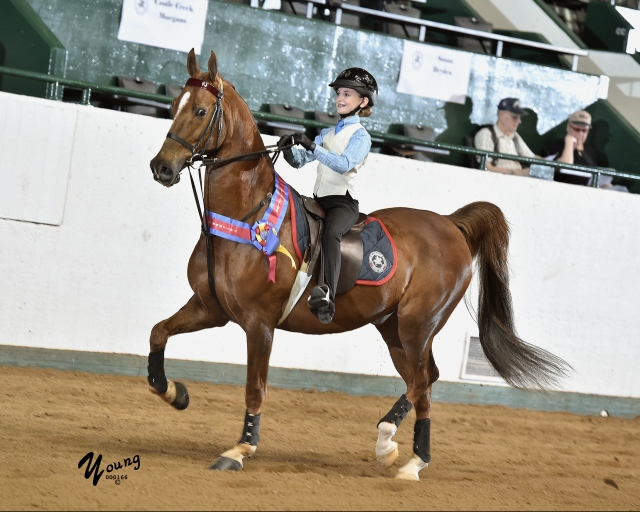 16I_6228 Tanbark Cavalcade of Roses Horse Show June 28 July 1, 2023