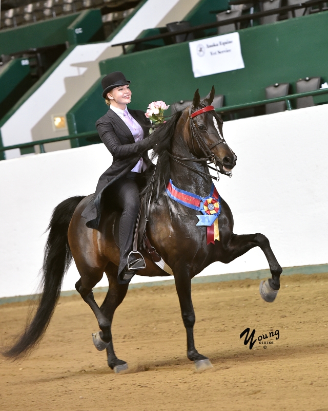 16I_7604 Tanbark Cavalcade of Roses Horse Show June 28 July 1, 2023