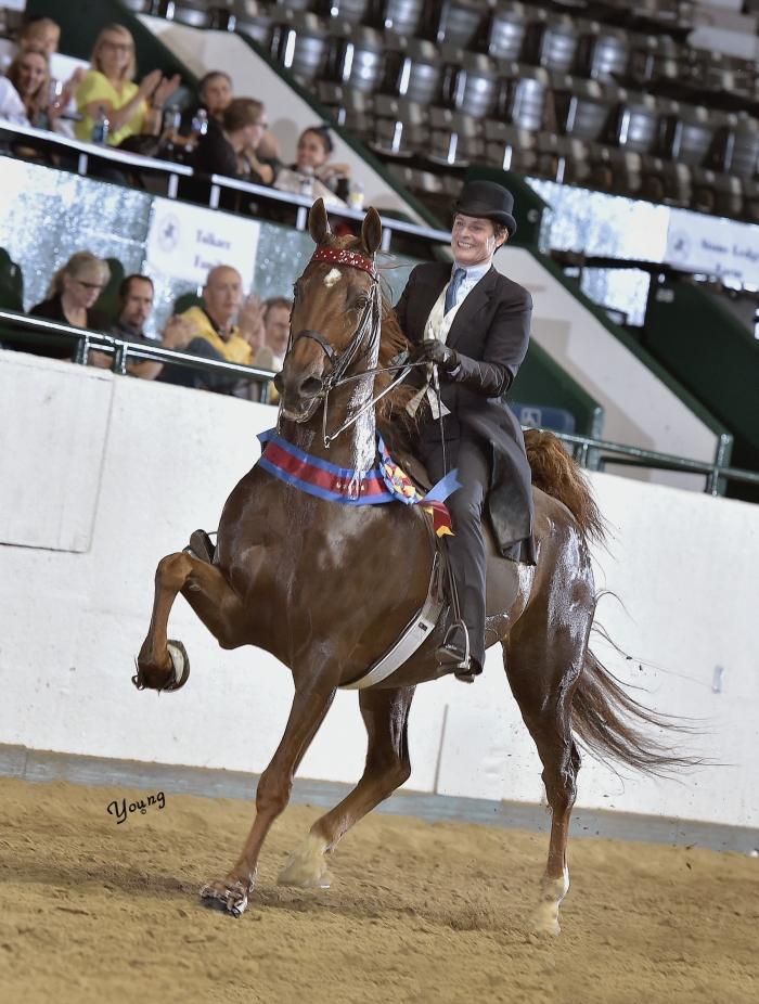 Gundersen_1361 lores Tanbark Cavalcade of Roses Horse Show June 28