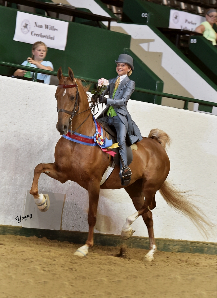 04M_0097 lores Tanbark Cavalcade of Roses Horse Show June 28 July