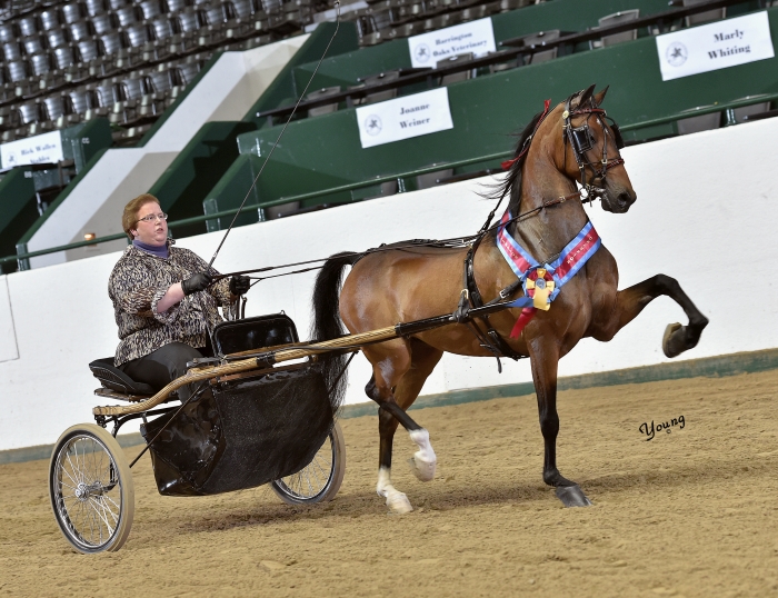 Photos Tanbark Cavalcade of Roses Horse Show June 2225, 2022