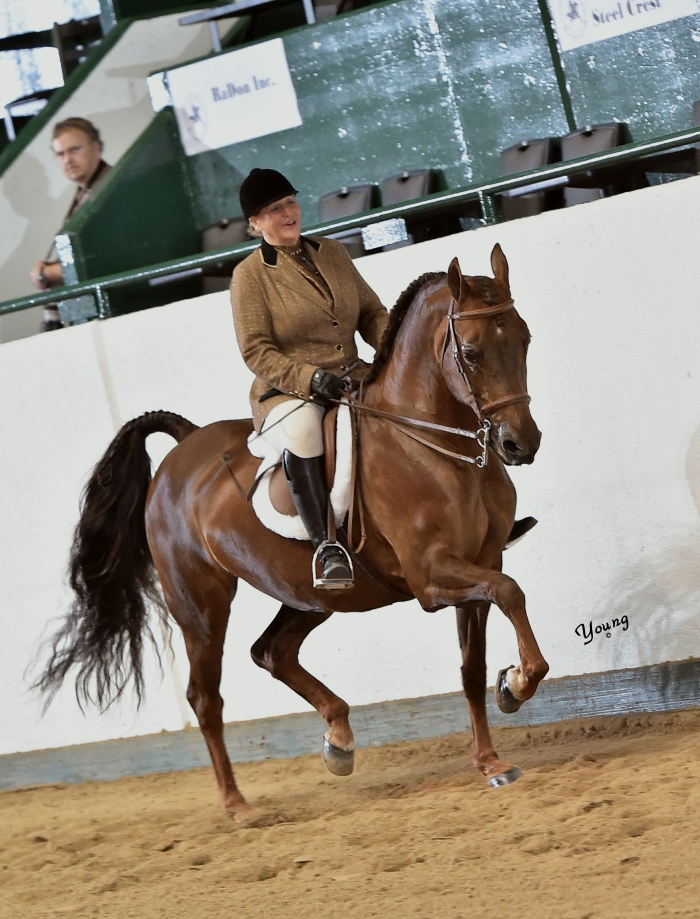 04M_1844 lores Tanbark Cavalcade of Roses Horse Show June 26 June