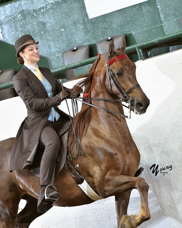 16I_4626 Tanbark Cavalcade of Roses Horse Show June 28 July 1, 2023