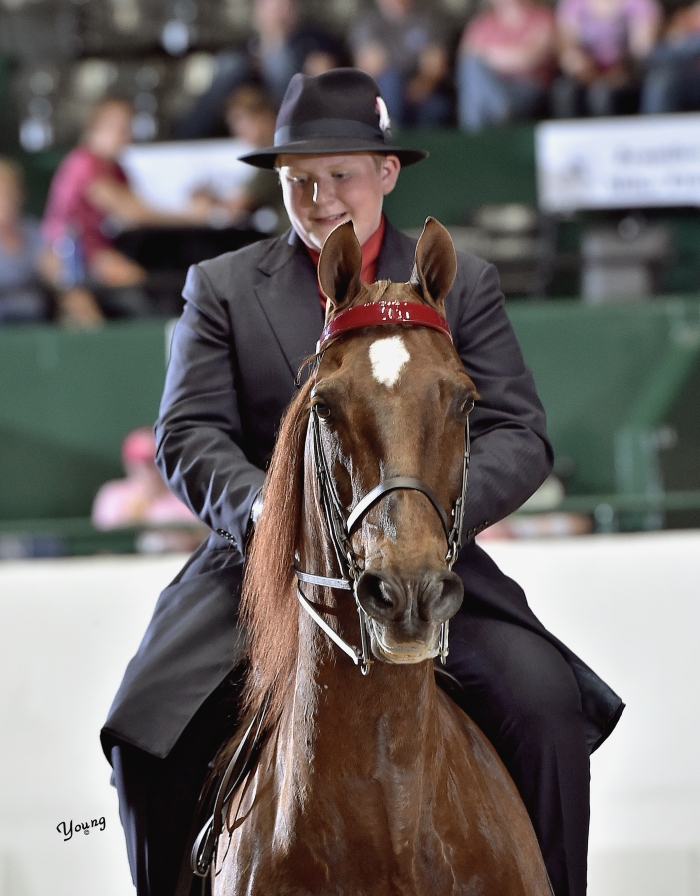 Bad Company_7617 lores Tanbark Cavalcade of Roses Horse Show June